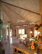 View from Kitchen